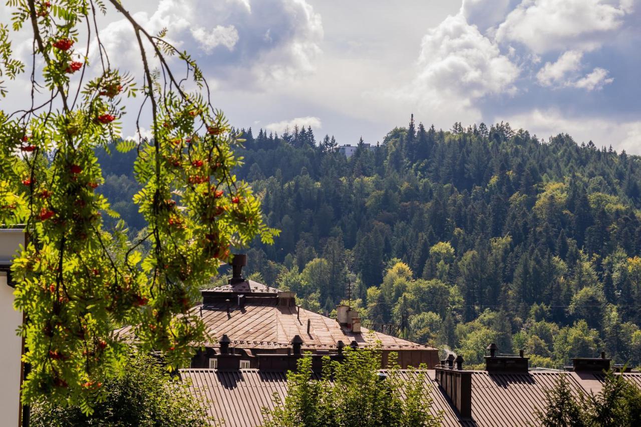 Apartamenty Lesne Zacisze Krynica Zdroj Bagian luar foto